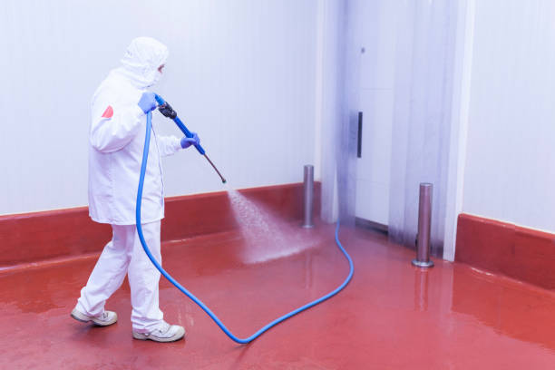Best Roof Cleaning and Mildew Removal in Effingham, IL